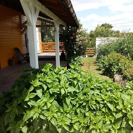 Tatil Evi Bois Albi